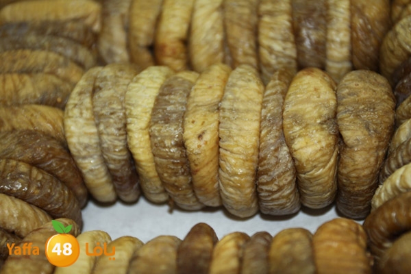 zhra2 tamer 705 (24).JPG